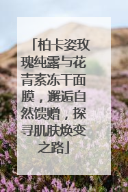 柏卡姿玫瑰纯露与花青素冻干面膜，邂逅自然馈赠，探寻肌肤焕变之路